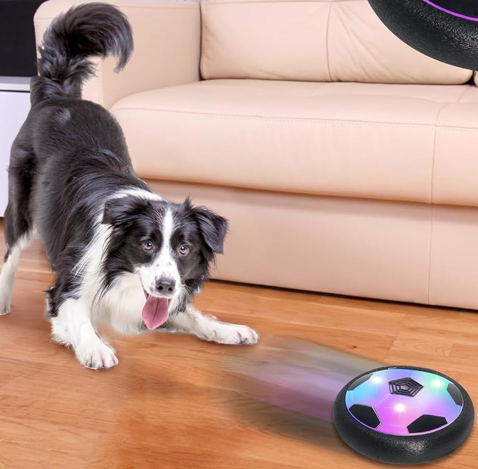 PetCore™ - Floating Dog Ball